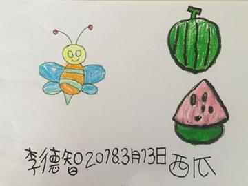 小蜜蜂与大西瓜