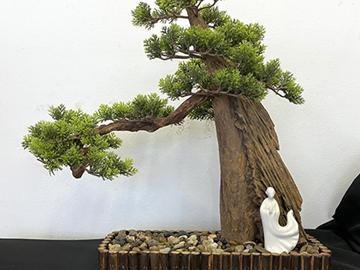 苏明由《迎客松》