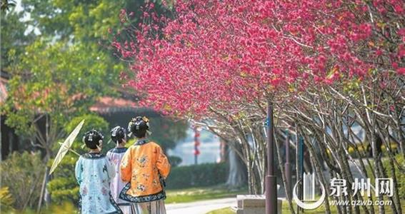 泉州各大公园可赏啥花 打卡攻略在此