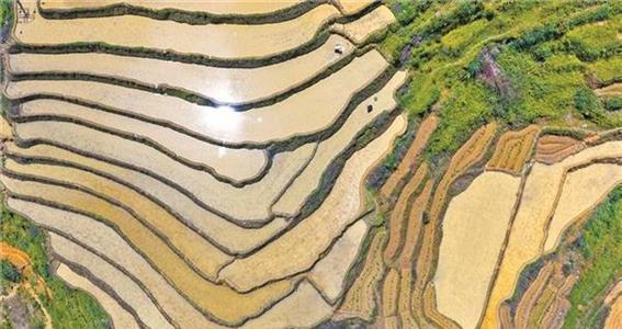 【央媒看泉州】梯田如诗 山水成画