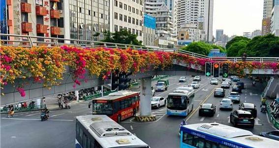 “空中花廊”